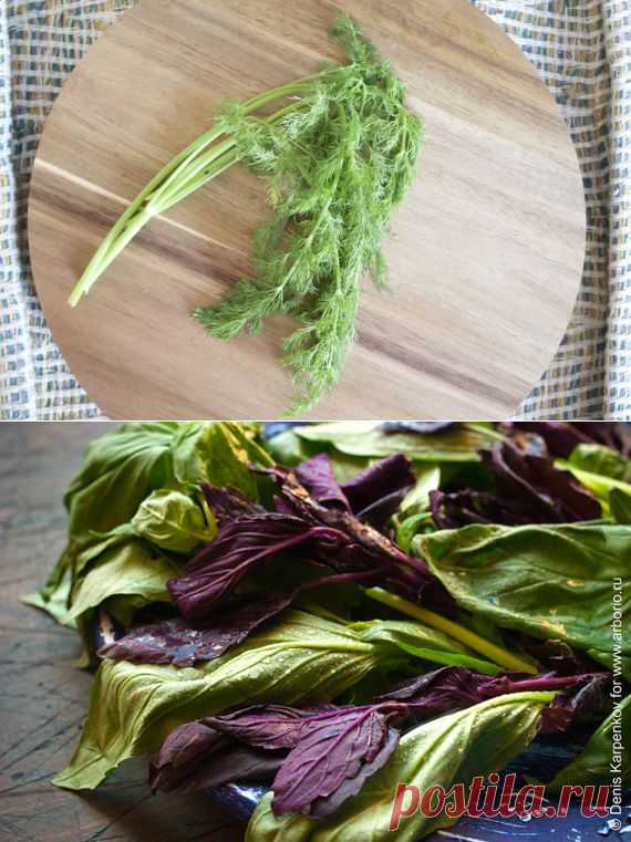 Куда девать жесткие стебли зелени | Четыре вкуса