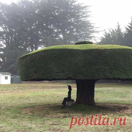 Along California’s Highway 1, Jim Mangan (@jimmangan) found a piece of art that doubles as a riddle. “I like the idea of someone contemplating whether or not the silhouette of the woman sitting under the tree is real or a sculpture,” says the photographer. “There’s a moment of contemplation, mystery.”
#TheWeekOnInstagram.
Photo by @jimmangan