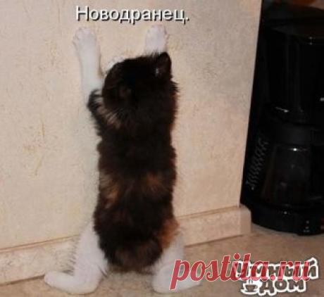 Мелкий засранчик))