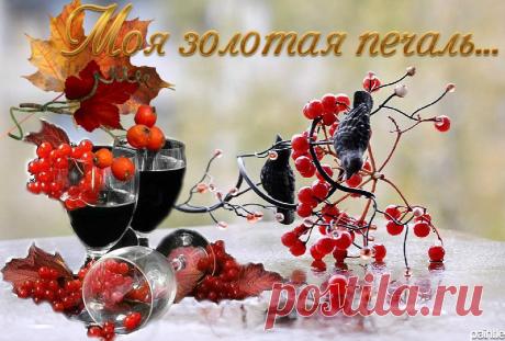 Мои работы