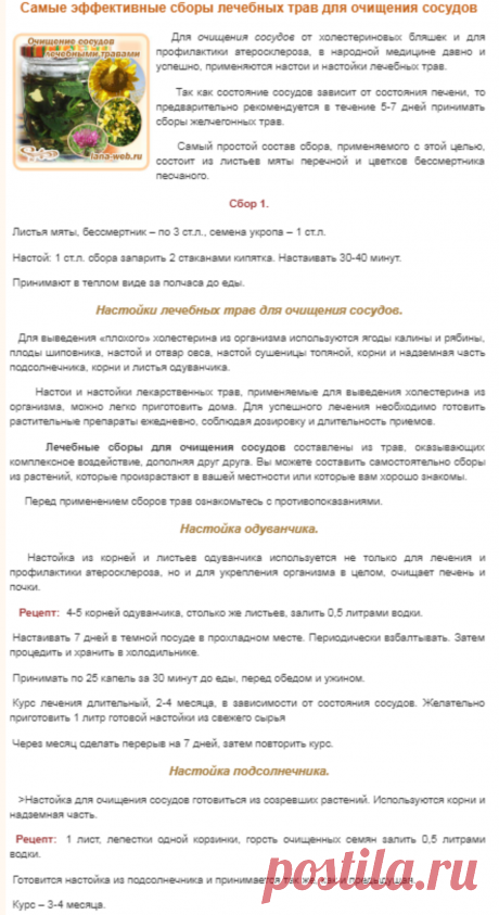 Красота, мода, здоровье