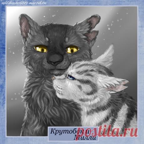 Graystripe and Millie. Warriors by Romashik-arts on DeviantArt