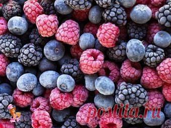 ПРАВИЛЬНАЯ ЗАМОРОЗКА ОВОЩЕЙ, ФРУКТОВ И ЯГОД

Большинство овощей и фруктов сохраняется в морозильнике в течение 8-12 месяцев, а некоторые даже дольше. 
Для достижения лучших результатов соблюдайте основное правило - замораживать нужно быстро (при температуре -18 градусов С) , а размораживать - медленно. 

Заготовка смородины
******************** 
Промойте смородину, черную, красную или белую. Отделите от кистей. Оставьте сохнуть на противне, только не на солнце. После просу...