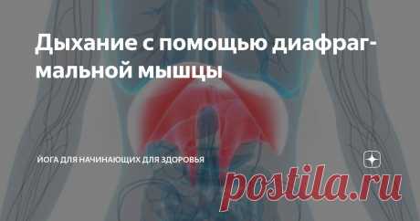 Дыхание с помощью диафрагмальной мышцы Статья автора «Йога для начинающих для здоровья» в Дзене ✍:   Формирование диафрагмального дыхания  Многие люди ощущают дискомфорт в области диафрагмы.