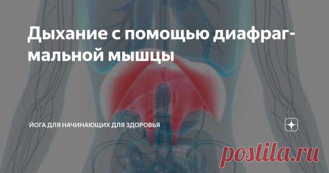 Дыхание с помощью диафрагмальной мышцы Статья автора «Йога для начинающих для здоровья» в Дзене ✍:   Формирование диафрагмального дыхания  Многие люди ощущают дискомфорт в области диафрагмы.