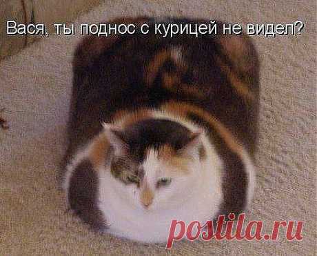 И ПОЧЕМУ КО МНЕ ВОПРОС