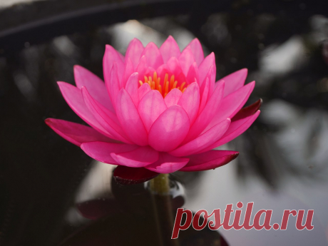 Редактировать описание