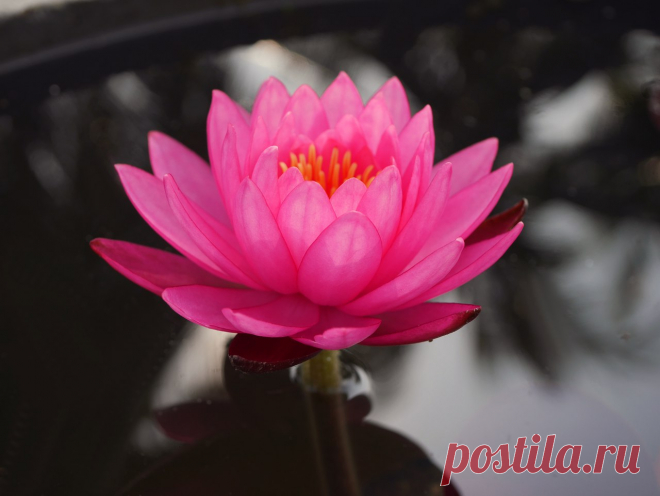 Редактировать описание