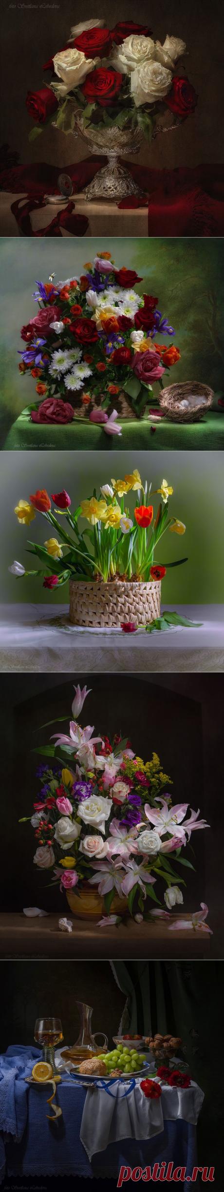 Великолепные натюрморты Светланы Лебедевой.