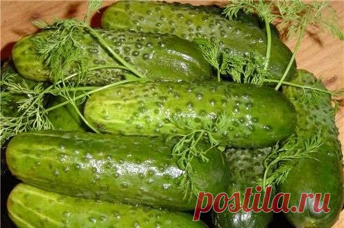 Огурчики, маринованные с кориандром / Простые рецепты