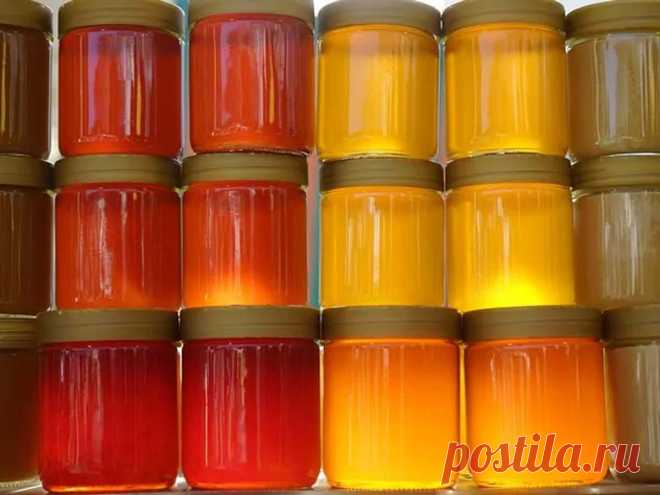 Семь мифов о пользе меда - Экспресс газета