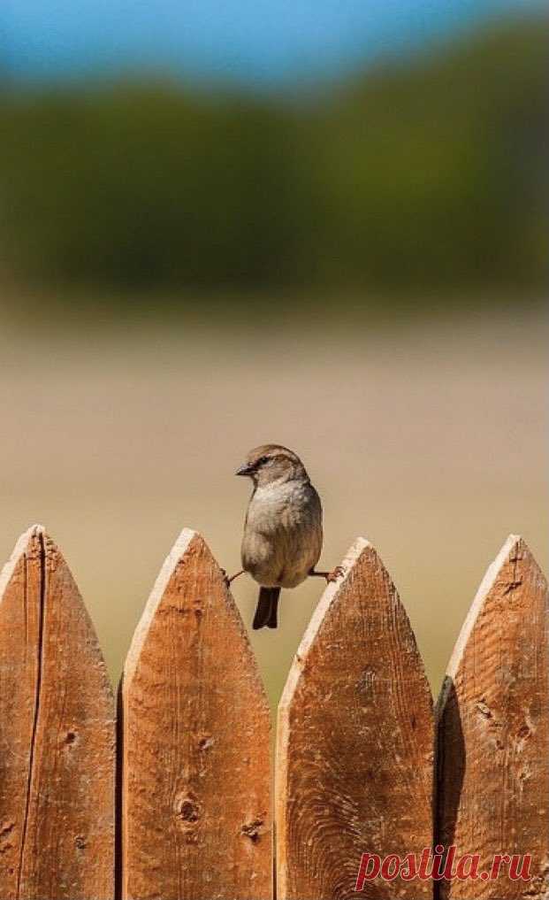 Home / Twitter