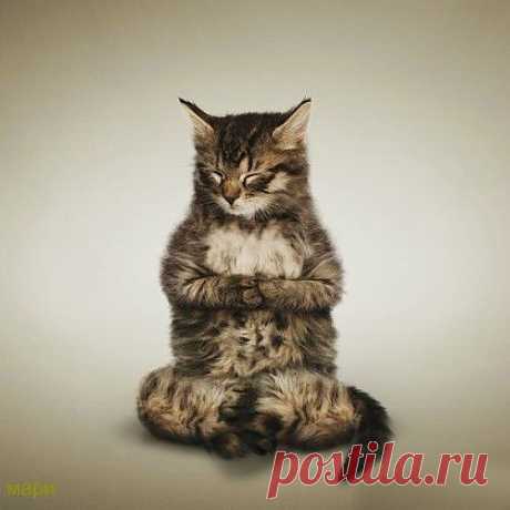 Медитация........путь к познанию =)))))))