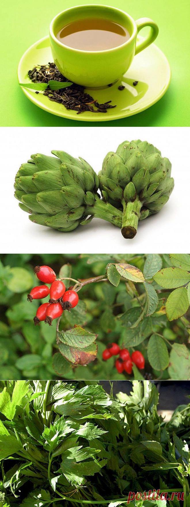 10 лучших травяных чаев для похудения • НОВОСТИ В ФОТОГРАФИЯХ