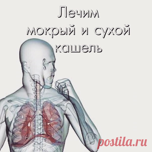 📌Кашель – рефлекс, направленный на устранение из дыхательных путей пыли, инородных тел и слизи. | OK.RU