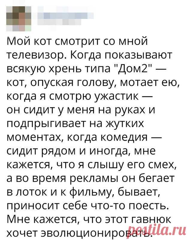 Знаете ли Вы?