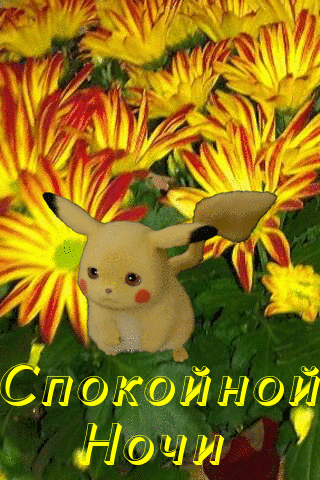 Спокойной ночи