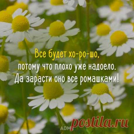 (75) Facebook