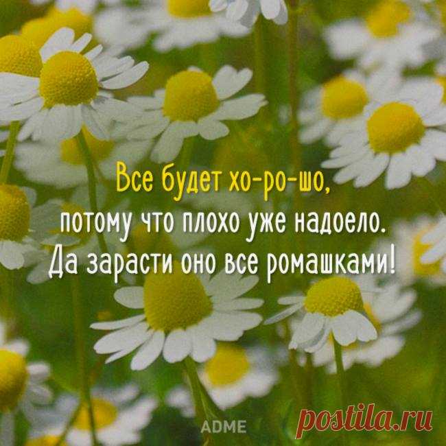 (75) Facebook