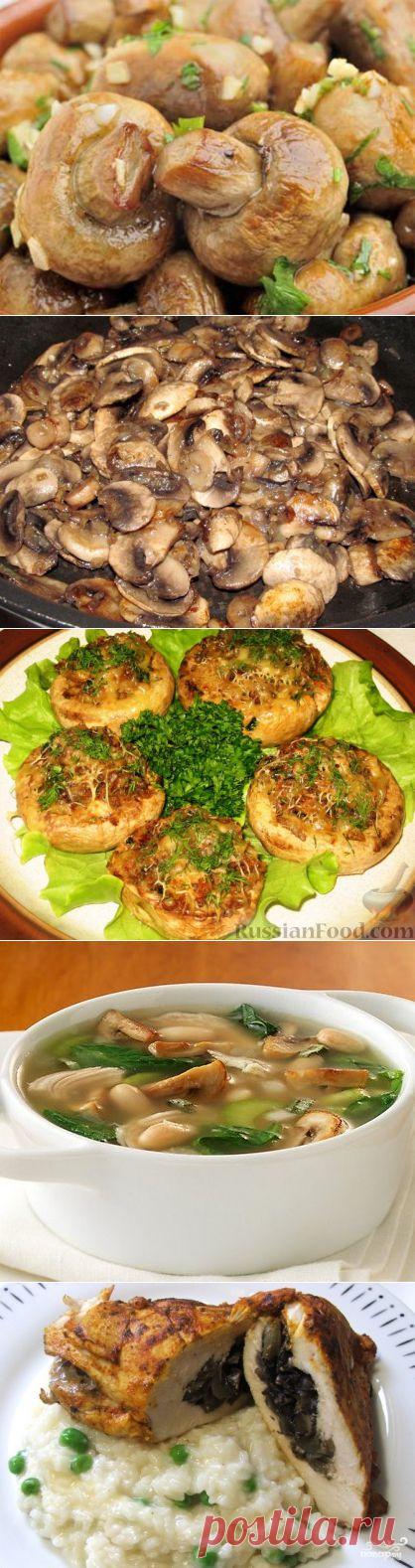 Рецепты вкусных блюд из шампиньонов