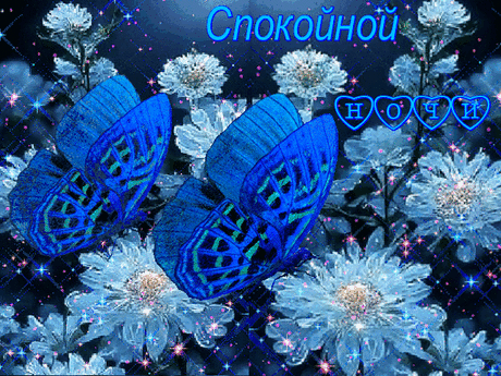 Спокойной  ночи