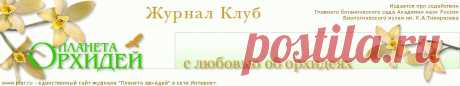 Мильтония: уход, болезни, выращивание. Советы специалистов.