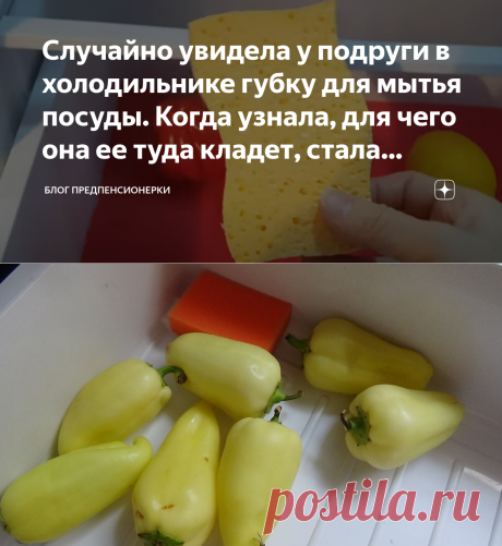 Случайно увидела у подруги в холодильнике губку для мытья посуды. Когда узнала, для чего она ее туда кладет, стала делать так же | Блог предпенсионерки | Яндекс Дзен