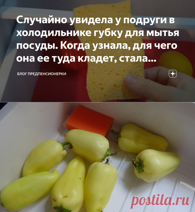 Случайно увидела у подруги в холодильнике губку для мытья посуды. Когда узнала, для чего она ее туда кладет, стала делать так же | Блог предпенсионерки | Яндекс Дзен