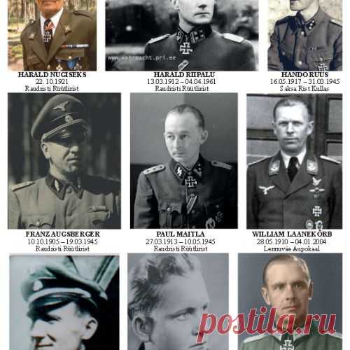 Вклад эстонцев в "чистоту арийской расы". 1941-1945 г.