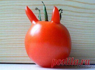 VIDEO ᴼᴿᴵᴳᴵᴺᴬᴸ(18+) – ★ღღღ★ЮЛИЯ★ღღღ ★♥ I ℓ٥ﻻ ﻉ√٥υ♥ добавила 2 фотографии в альбом ЭТО съедобное