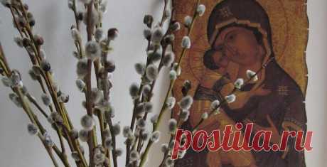 Суть Вербного воскресенья