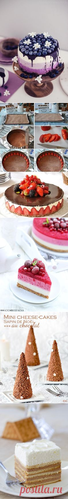 Köstlicher no bake Cheesecake #glutenfrei #zuckerfrei #lowcarb #abnehmen www.lowcarbkoestlichkeiten.de | Rezepte, ...