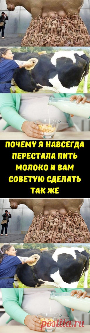 Почему я навсегда перестала пить молоко и вам советую сделать так же - Кулинария, красота, лайфхаки