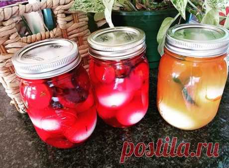 Что приготовить на завтрак из яиц: 4 простых и очень вкусных варианта