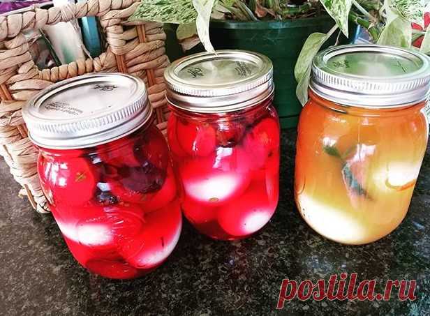 Что приготовить на завтрак из яиц: 4 простых и очень вкусных варианта