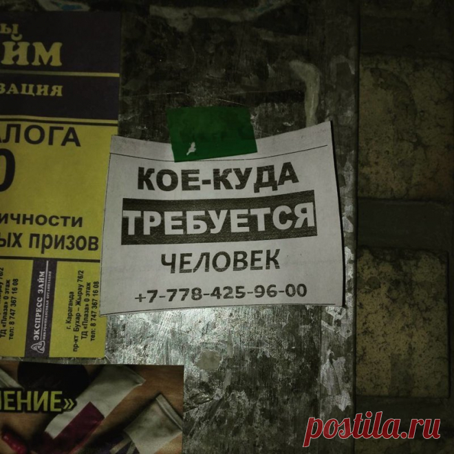 20 смешных объявлений, которые могли написать только в России