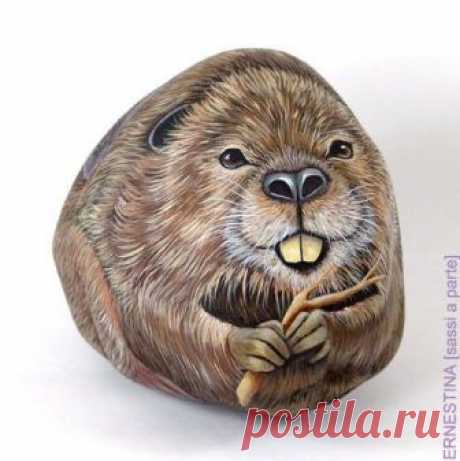 Рисунки на камнях от Ernestina Gallina