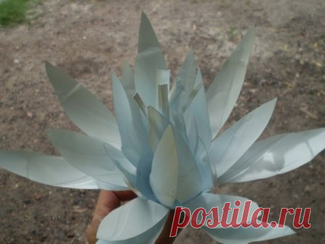 Кувшинки из пластиковых бутылок