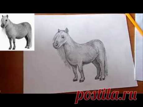 Как нарисовать пони поэтапно/How to draw a pony step by step