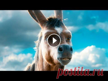 Конек-горбунок — Трейлер #2 (2021) ► Второй трейлер фильма «Конек-горбунок» 2021 года | Русские трейлеры к фильмам, сериалам и играм! Интересные ролики о фильмах и их съёмках! Подпишись...