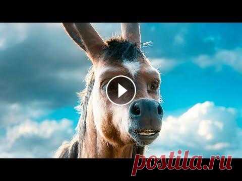 Конек-горбунок — Трейлер #2 (2021) ► Второй трейлер фильма «Конек-горбунок» 2021 года | Русские трейлеры к фильмам, сериалам и играм! Интересные ролики о фильмах и их съёмках! Подпишись...