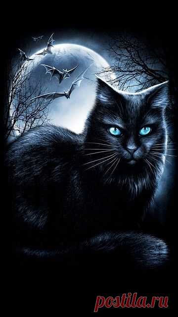 (109) Pinterest
