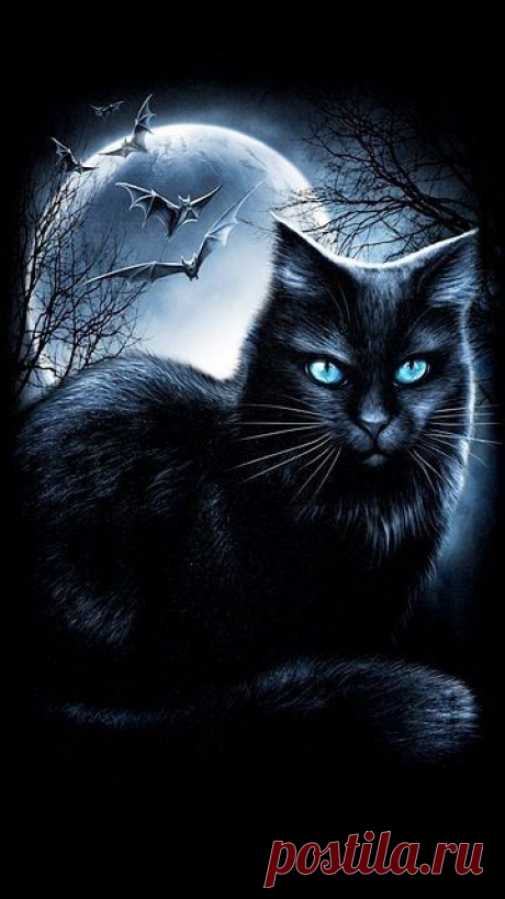 (109) Pinterest