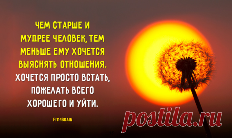 Абсолютно верное высказывание!