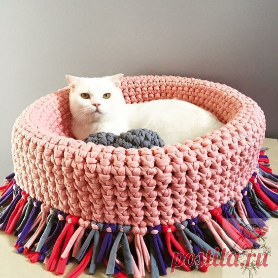 😺🐶 #cute #archiparti How to add a pet room to tiny space? #CLICK to learn ideas of cat home Small,Reptiles,Dog,Outdoor,Guinea Pigs,Rabbit,Ideas,Cat,Under…