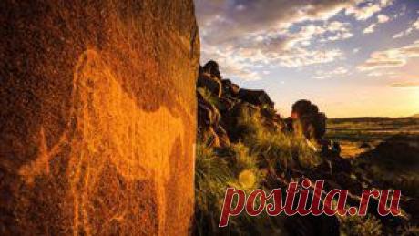 Nature TIME-LAPSE on Vimeo