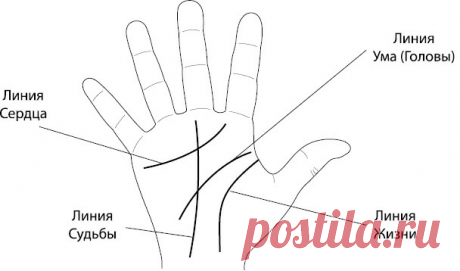 Как по линиям на руке узнать дату своей смерти | Красота внутри вас | Яндекс Дзен