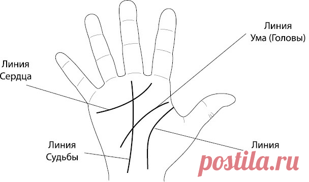 Как по линиям на руке узнать дату своей смерти | Красота внутри вас | Яндекс Дзен