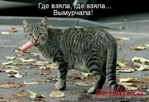 Мой Мир@Mail.Ru