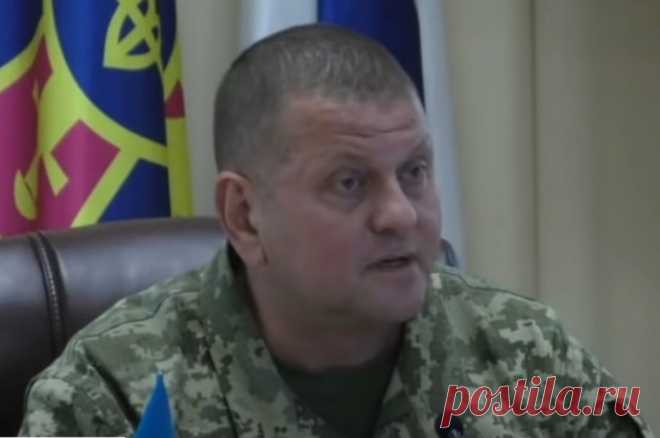Экс-депутат Рады Мосийчук: ВСУ потеряли десять бригад по вине Залужного. Бывший парламентарий назвал контрнаступление ВСУ «роковой ошибкой» Киева.